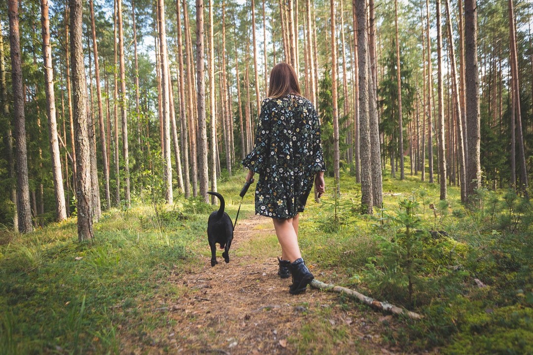 Nainen kävelee metsäpolulla mustan koiran kanssa, korkeat puut ja vihreä aluskasvillisuus ympärillä.